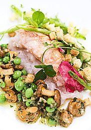 Vindermenu2009 (1).jpg