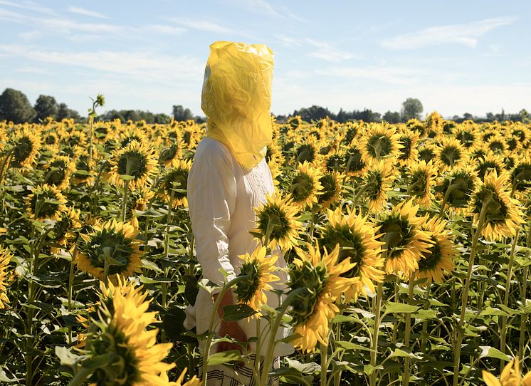 Elina Brotherus, Portrait Series (Gelbe Musik with Sunflowers), 2016.tif