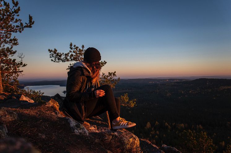 Ärtknubben Dalarna Foto Anna Holm