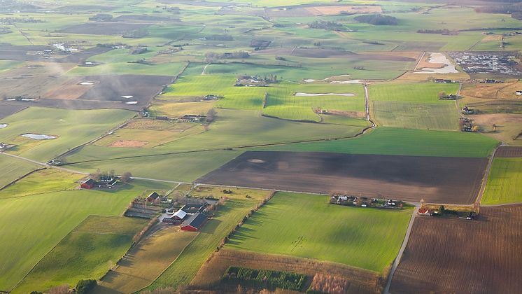 FRÅGA EXPERTEN: Kallare klimat och kortare växtperiod ger lägre diversitet i Sverige