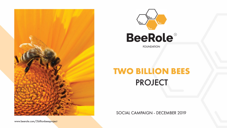 2 Billion Bees in 2020 Project