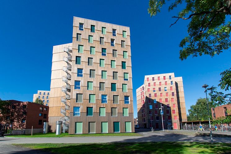 Moholt 50 | 50 Studentenwohnheim in Trondheim - Kebony Fassade