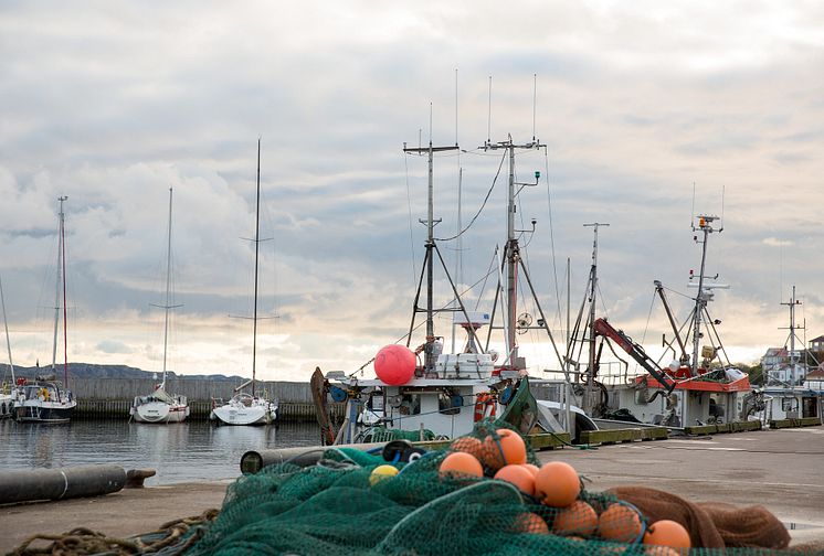 EU och Norge överens om fiskekvoter för 2018