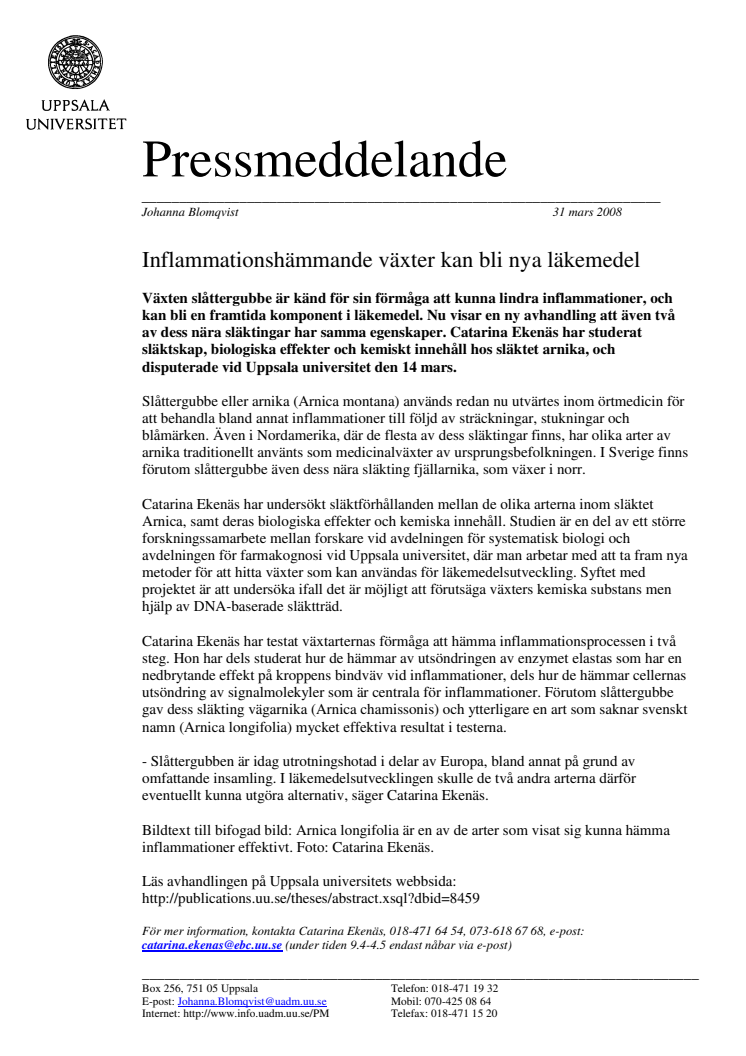 Inflammationshämmande växter kan bli nya läkemedel