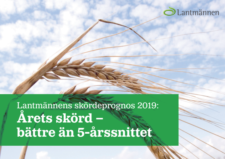 Lantmännens skördeprognos: Årets skörd − bättre än 5-årssnittet