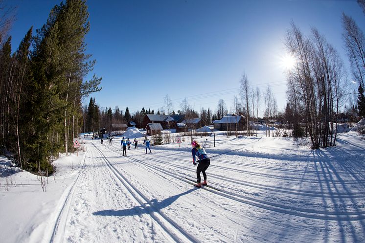 Vasaloppets vintervecka 2016 – se statistiken län för län