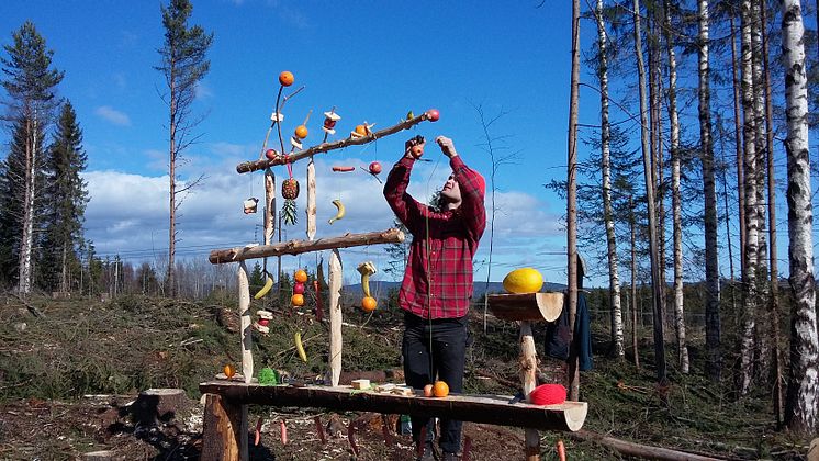 Aron Lidström - Den rullande designbyrån