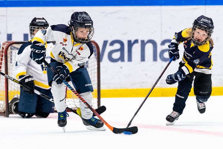 HV71_2.jpg
