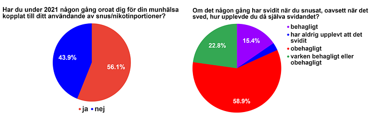 Oro för munhälsa och attityder till svidandet (enkätundersökning 2022 med över 1000 svrande snusare)