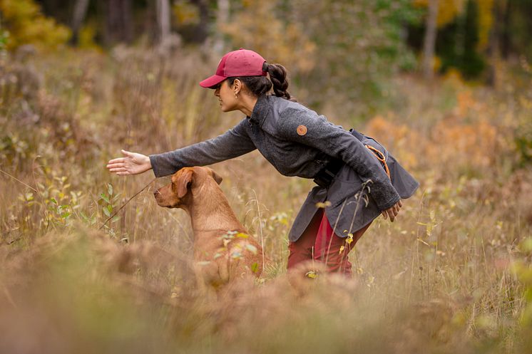 Hundsportsbälte AW24