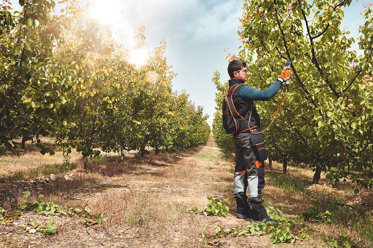 STIHL ASA 85 batteridrevet beskærersaks