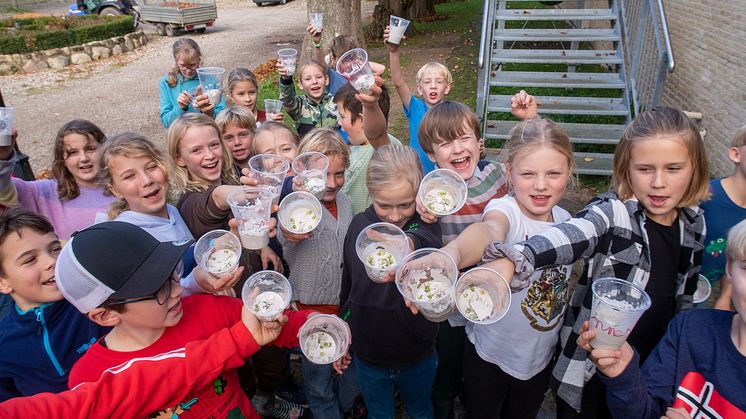 Louisenlund Forschercamp MINT Akademie Grundschule