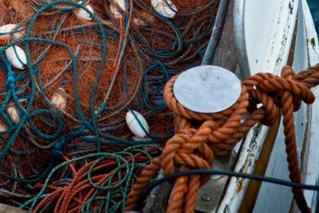 Ökade kvantiteter för kustfiske av sill i Östersjön för 2013