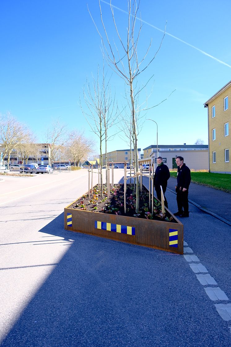 Träd på tillväxt hos Ängelholmshem