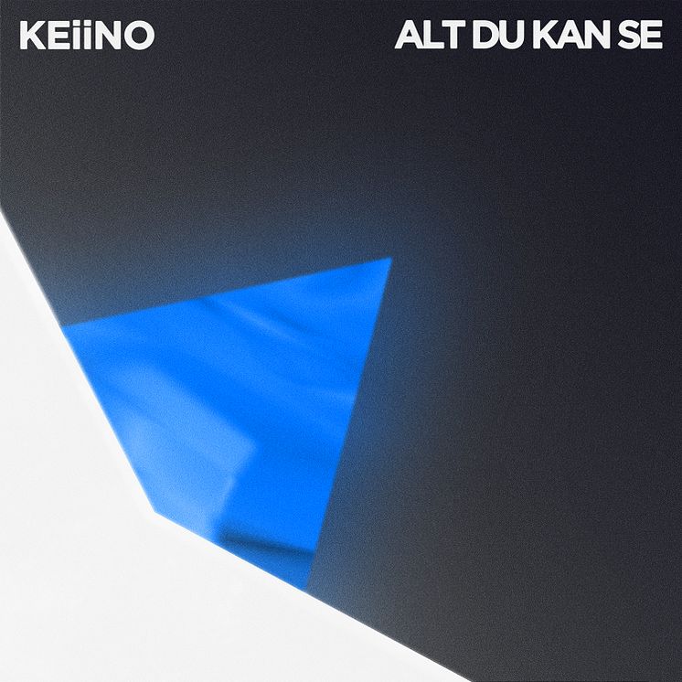 KEiiNO - ALT DU KAN SE (Cover)