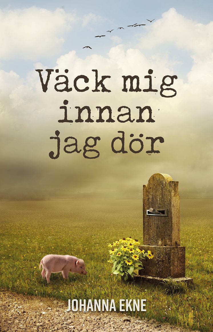 Väck mig innan jag dör, 2D omslag