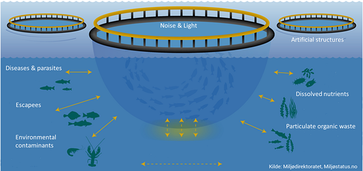 Påvirkning fra fiskeoppdrett modifisert fra Miljødirektoratet