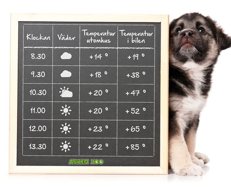 BIld_temperatur_i_bil.jpg