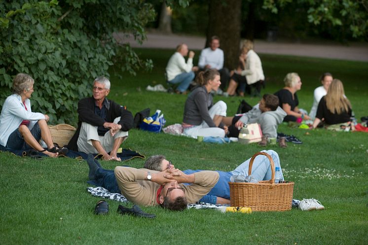 Stadsparken hundra år - våren 2010