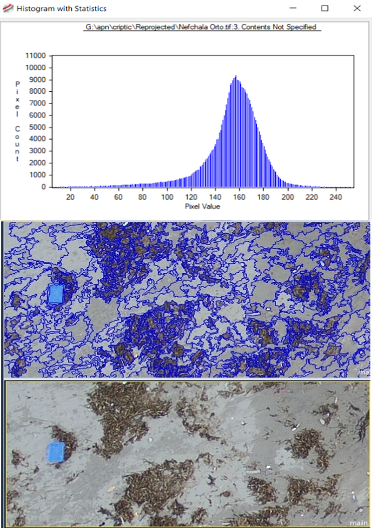 Drone image segmentation to identify objects that fit the colour value.png