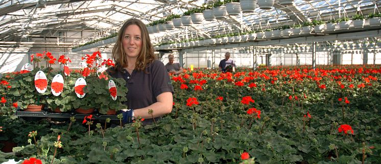 Pelargonproducent Jeanette Jensen