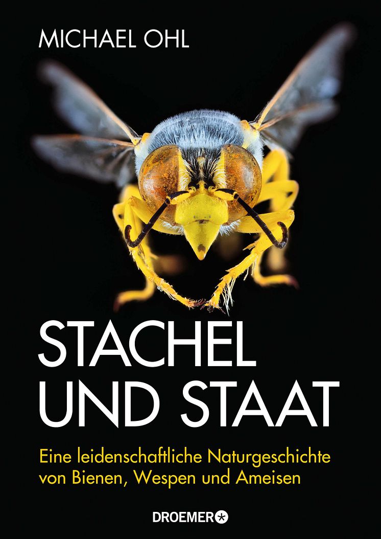 Ohl  Cover Druck