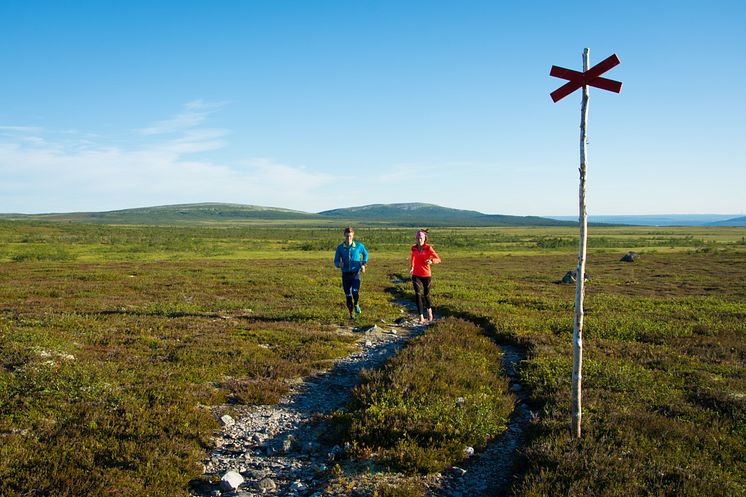 Trail running 