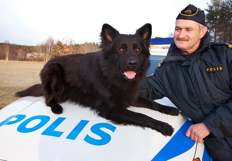 Årets polishund 2012 - Jebas Puck