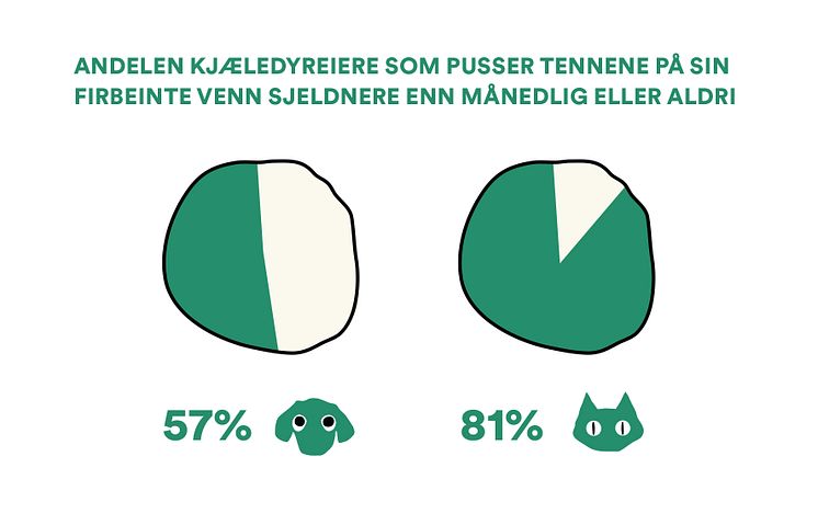 Musti_rapport_kattevask_grafikk_1.jpg