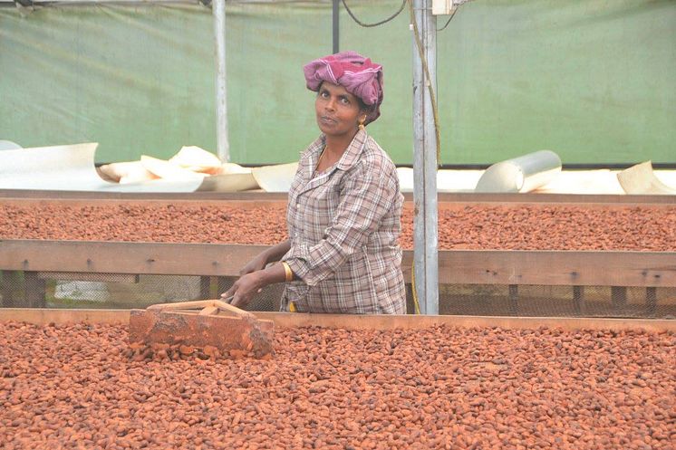 Standout Chocolate är en chokladproducent som ger tillbaka