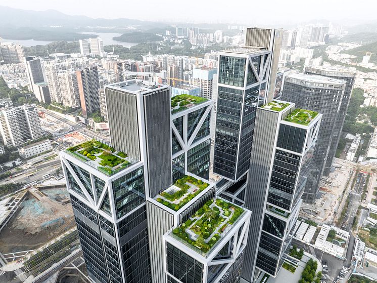 Roof Terrace Garden