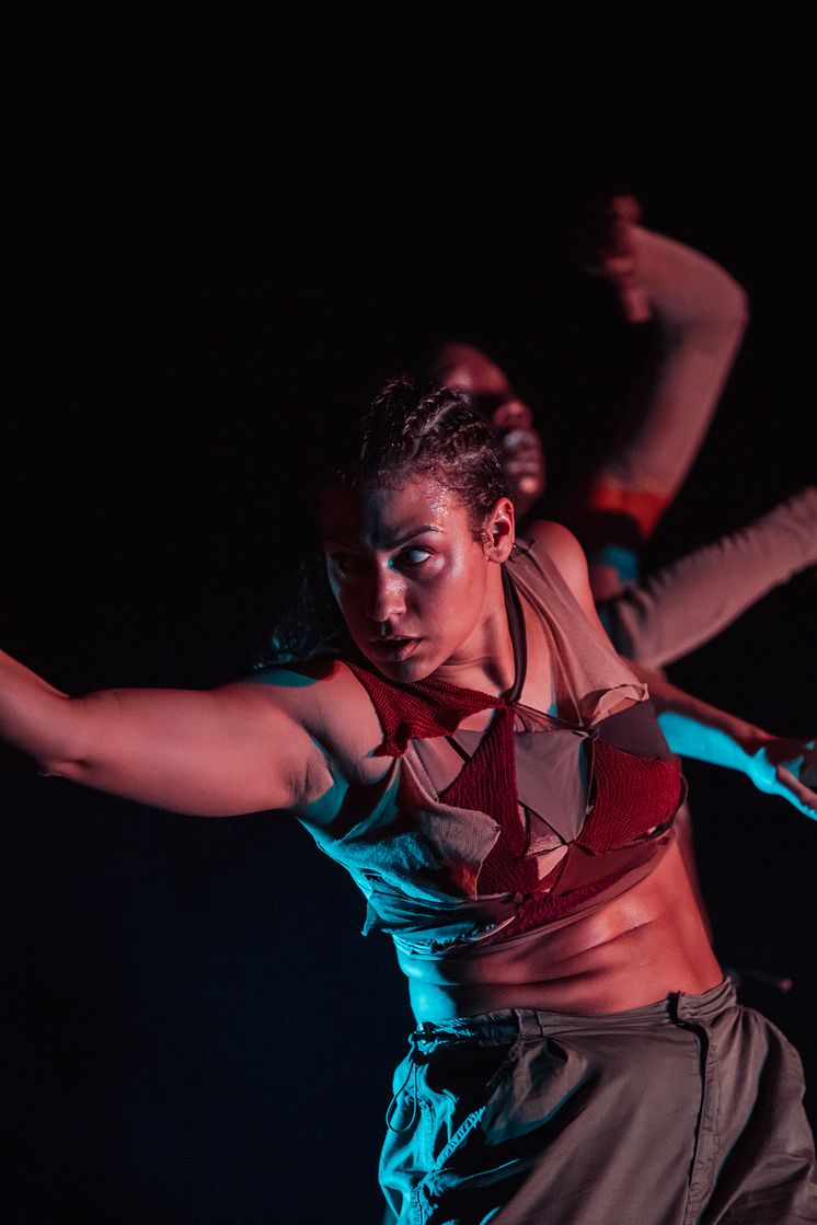 Company Nicolas Huchard - The barefoot diva