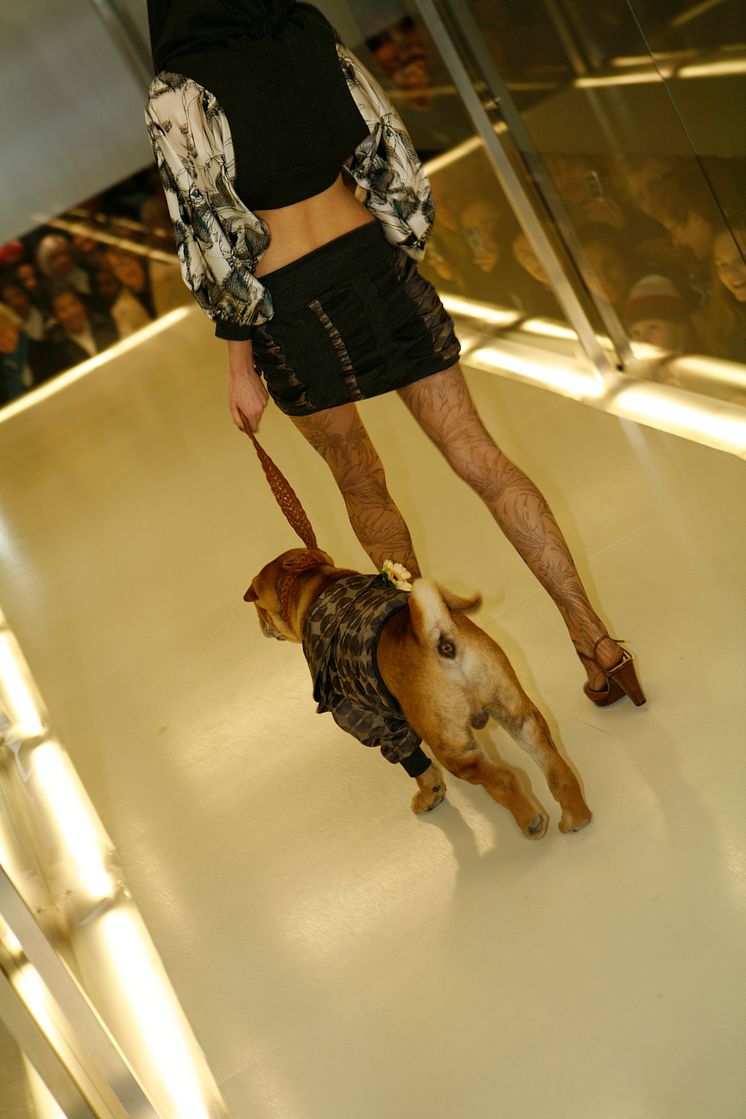 Dogs On Catwalk - NK Stockholm