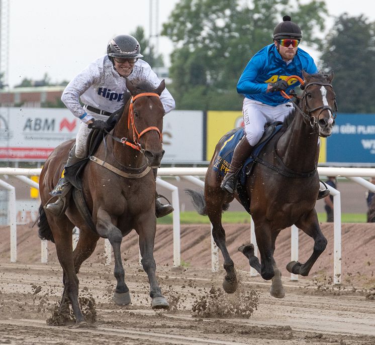 ATG Hästarnas Mästare - galopp