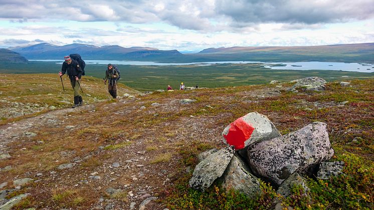 Kungsleden
