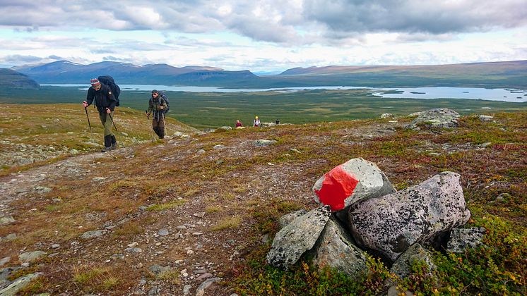 Kungsleden