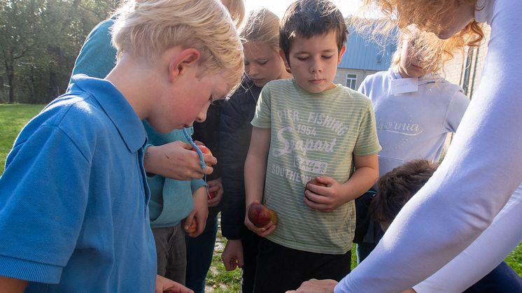 Louisenlund Forschercamp MINT Akademie Grundschule