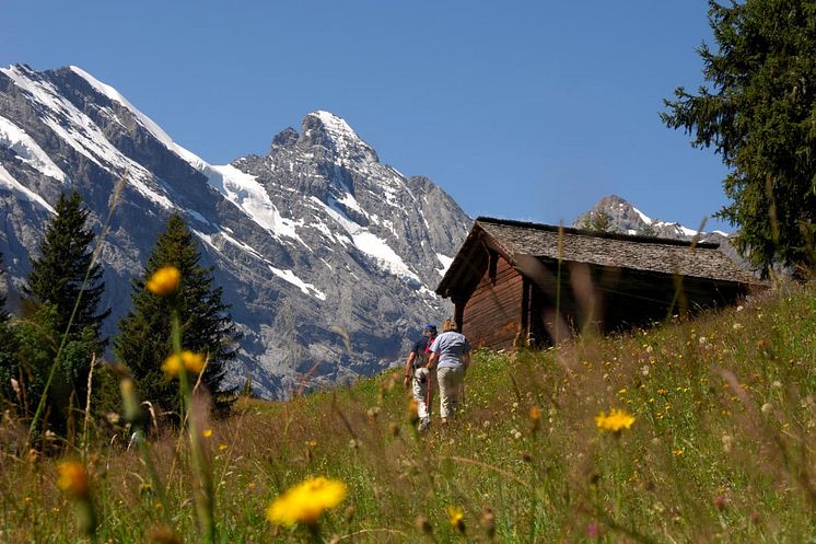 Northface Trail Schilthorn