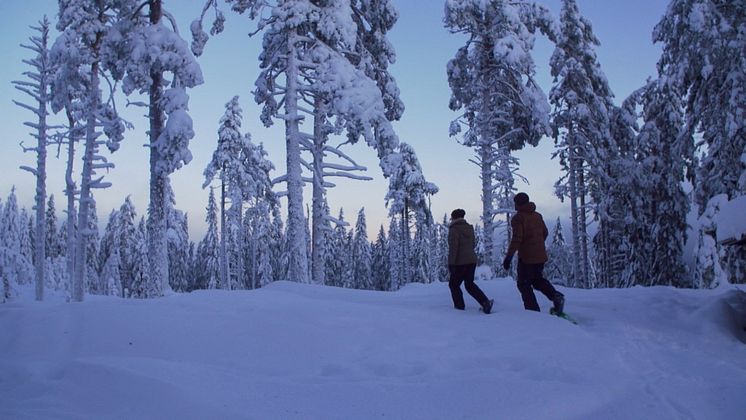 FryksasChalet_Snowshoe_photoJuliusAspman_VisitDalarna