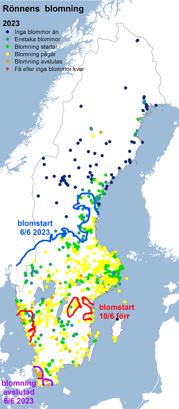 fsk_rönn2023_vit