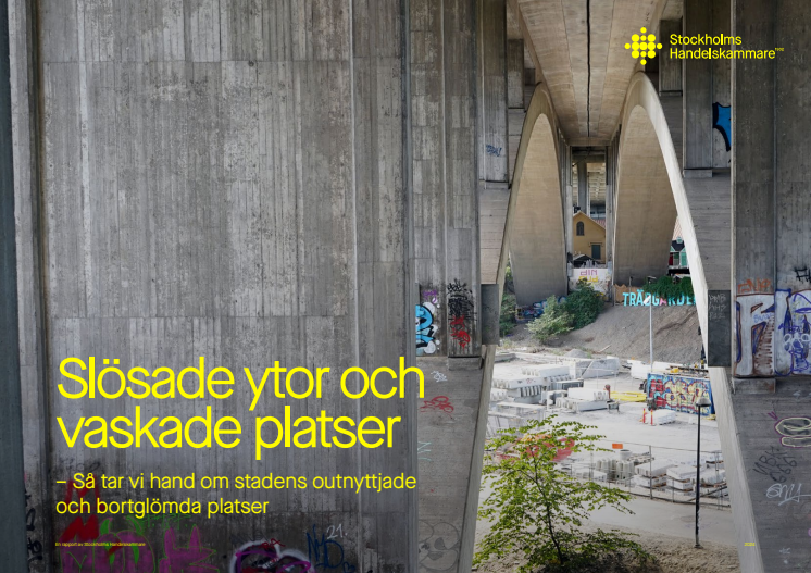 SHK_Rapport_slösade_ytor_och_vaskade_platser.pdf