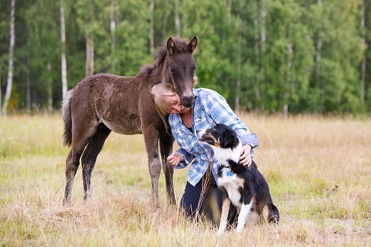 Floriane med föl och hund