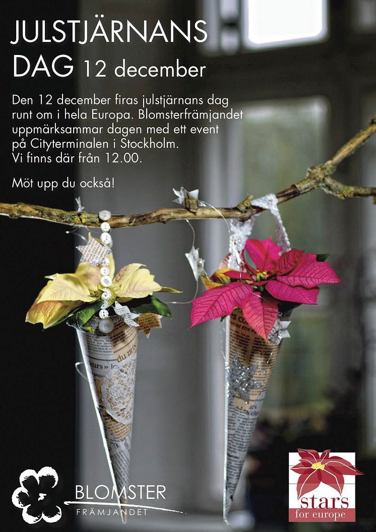 Julstjärnans dag!