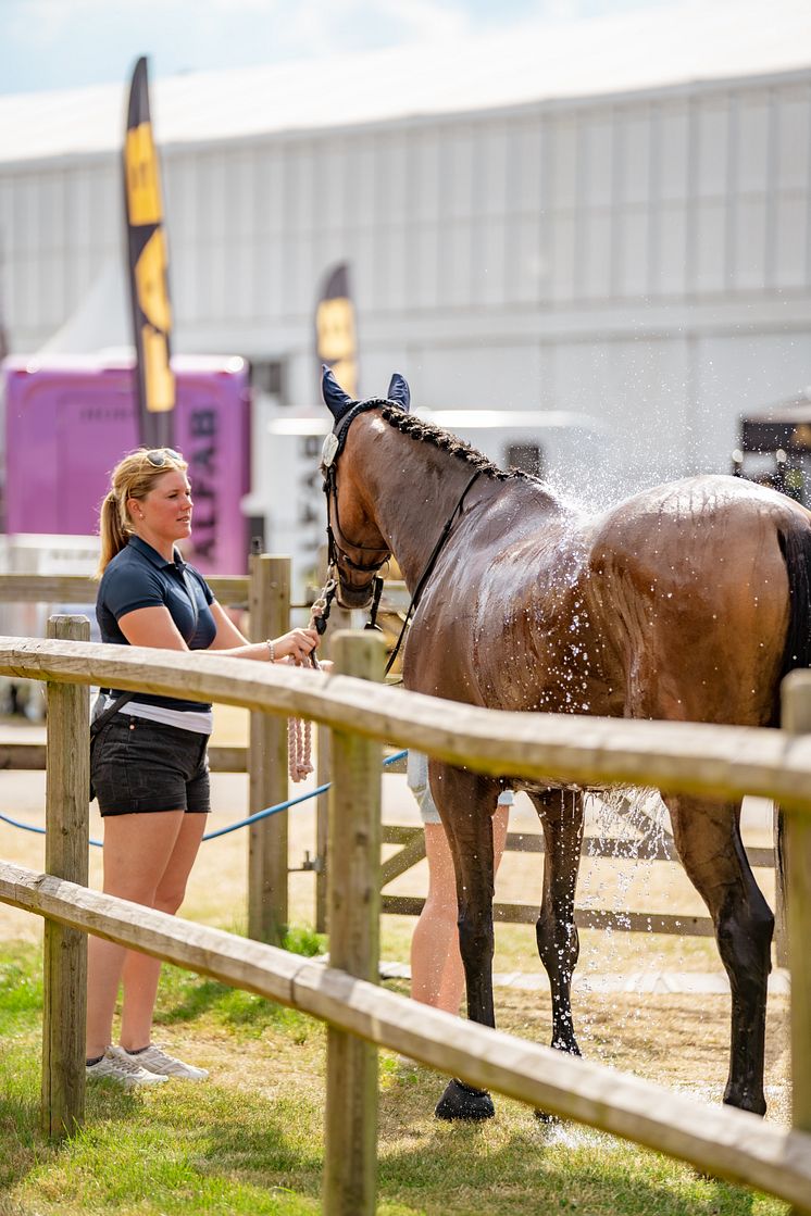 Häst Falsterbo Horse Show