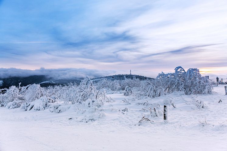 Winterlandschaft_Erzgebirge_Fichtelberg_Foto_TVE_Bernd_März.jpg