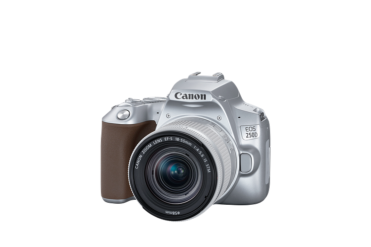 Canon EOS 250D Silver