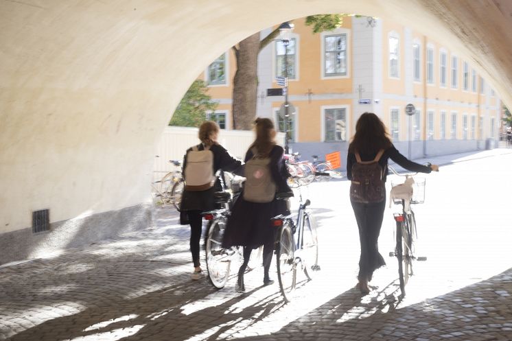 Studenter i Uppsala.jpg