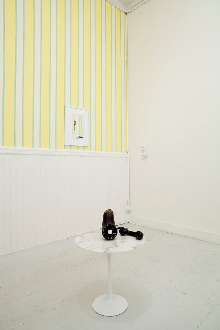 Margaret Lee, Hello (eggplant), Hello (cucumber), 2012