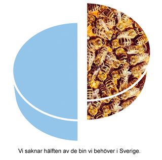 Sverige saknar hälften av de bin som behövs för att pollinera våra grödor och vår natur.