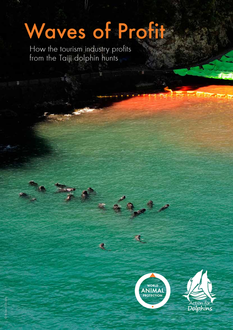 Taiji Report.pdf